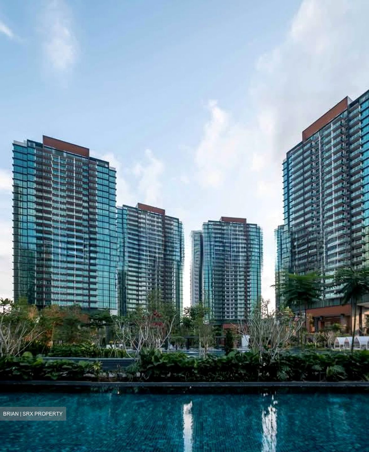 Normanton Park (D5), Apartment #554233721